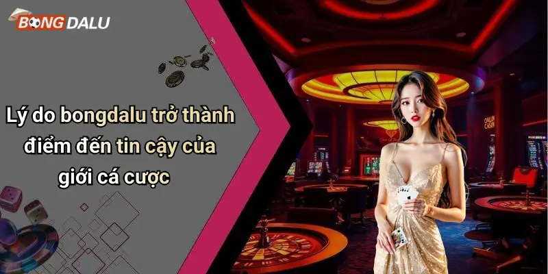 Lý do bongdalu trở thành điểm đến tin cậy của giới cá cược