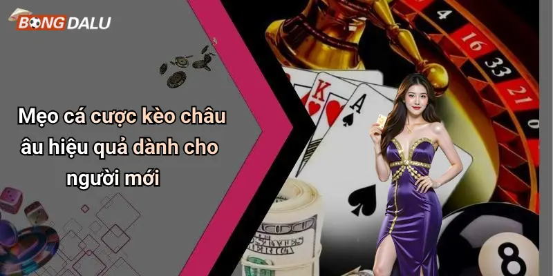 Mẹo cá cược kèo châu âu hiệu quả dành cho người mới