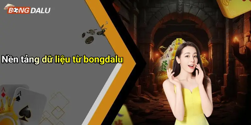 Nền tảng dữ liệu từ bongdalu