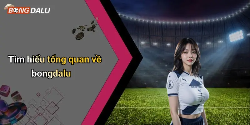 Tìm hiểu tổng quan về bongdalu