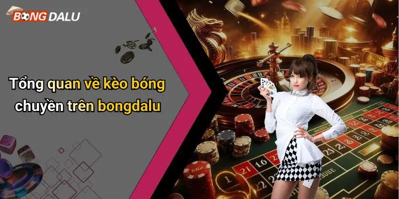 Tổng quan về kèo bóng chuyền trên bongdalu