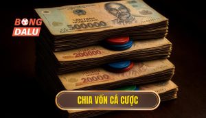 thumb - chia vốn cá cược