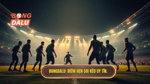 Bongdalu_ Điểm hẹn soi kèo uy tín.