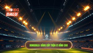 Trận Đấu C1 Đỉnh Cao: Nghệ Thuật Chiến Thuật Và Sức Hút Vô Tận Của Champions League