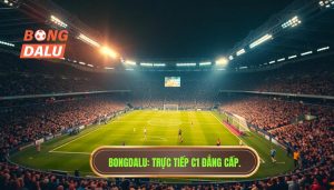 Live Match C1 Hôm Nay: Trải Nghiệm Đỉnh Cao Cùng Champions League